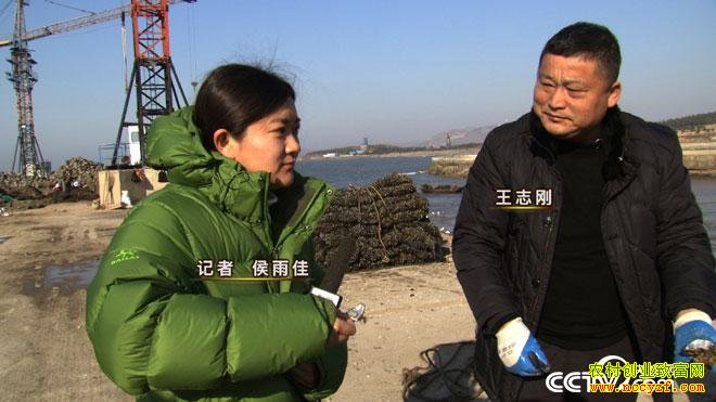 致富经：海上迷宫里捞金的人