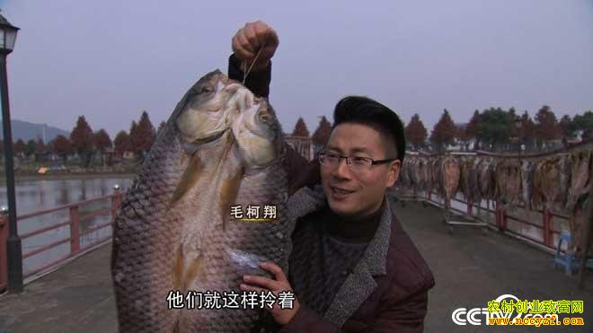 致富经:把青鱼挂起来更赚钱