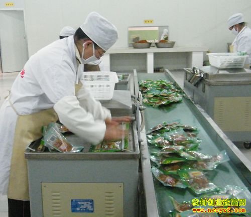 [农广天地]蔬菜酱制 酱腌菜的加工技术视频