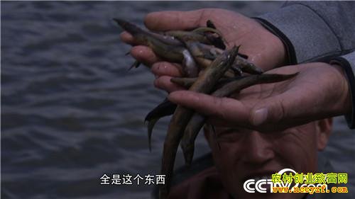 洪水里漂来的亿万身家