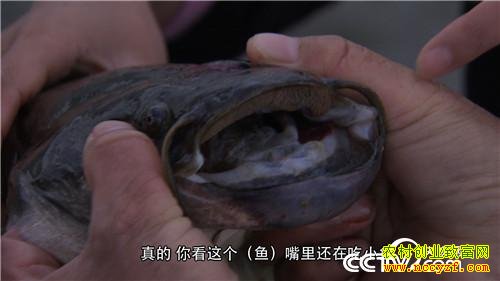 洪水里漂来的亿万身家