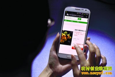 河北深州孟宪堆做电商卖水果穿创业致富
