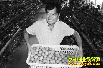 山东阳谷惠继胜养鸡带领乡亲致富