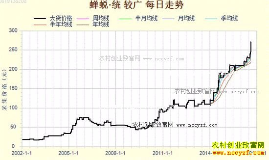 图1:蝉蜕近年持续高涨的行情使之成为市场关注的热点品种