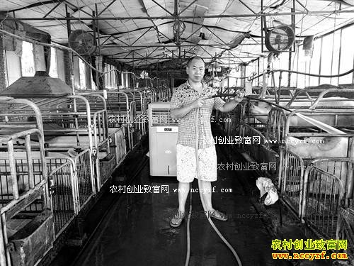 重庆丰都杜辉林养猪猪粪种花椒年收入50多万元