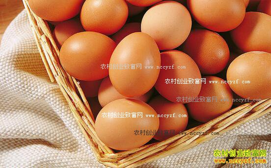 2016年鸡蛋价格行情预测:中秋节前安徽鸡蛋价格还会涨