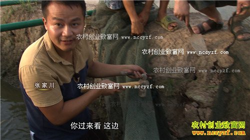 致富经:狂人的财富呱呱叫