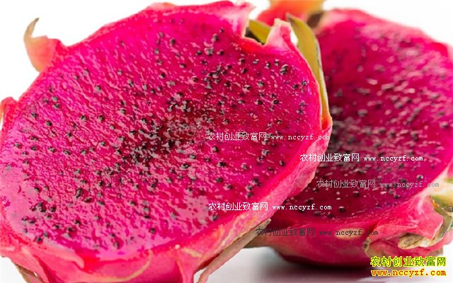 网传转基因食品名单?专家:完全错误