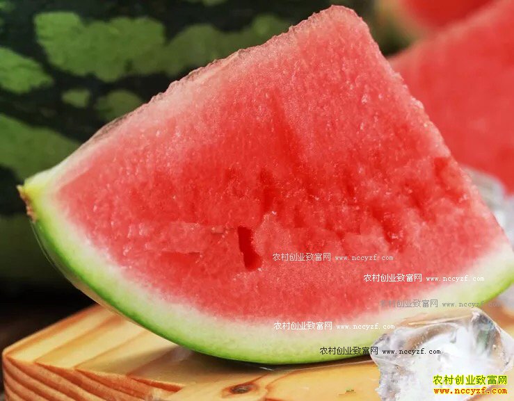网传转基因食品名单?专家:完全错误
