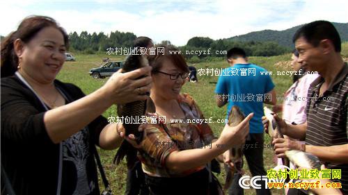 败家媳妇儿金银峡里淘金银