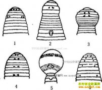 <b>养水蛭赚钱吗,水蛭养殖技术入门知识</b>