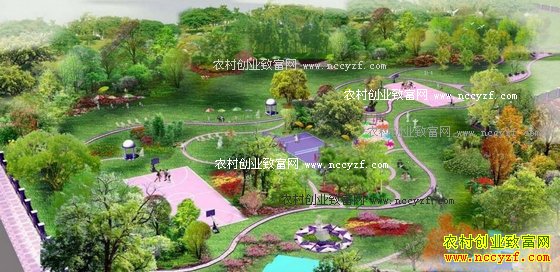 怎样投资休闲农业?四步教你成功做休闲农业