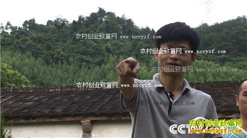 带刺儿的生意赚来千万财