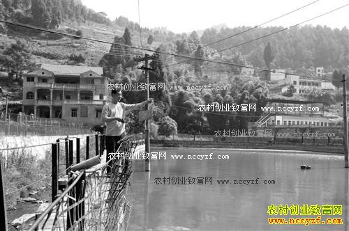 重庆綦江毛宇其生态养鱼半年收入5万元