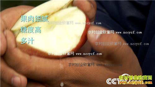 换个地方卖苹果 如何多卖三倍价