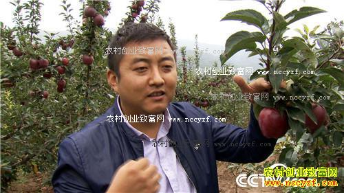 换个地方卖苹果 如何多卖三倍价