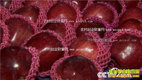 换个地方卖苹果 如何多卖三倍价