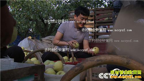 致富经:农村小伙儿的田间地头财富发现 11月18日