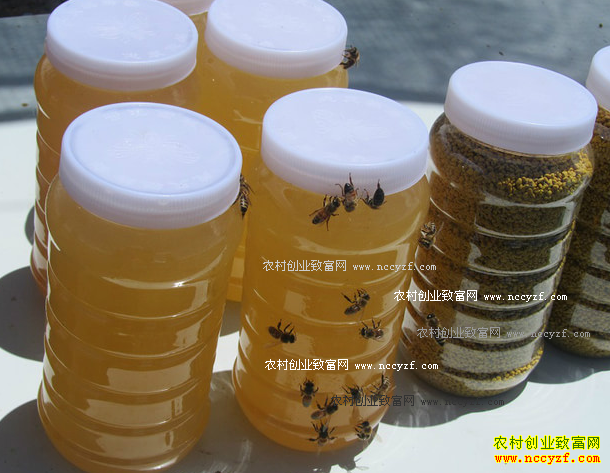 湖北随州高庙村扶贫第一书记微信卖蜂蜜助农致富