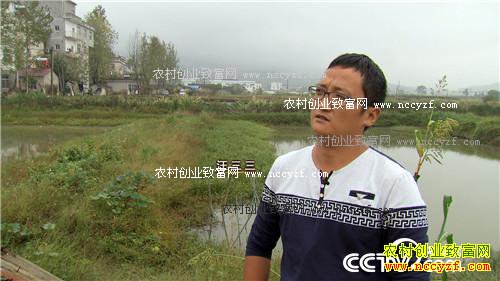 致富经:财富逆转从三个月净赚一百万开始 11月23日