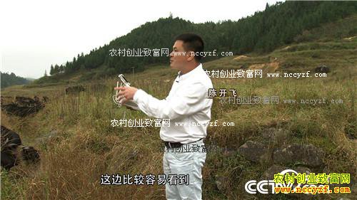 致富经:海龟小伙发羊财 从7.5万元买一只羊开始 11月29日