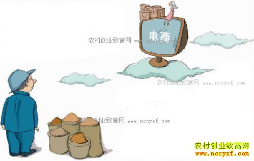 四川岳池淘宝店零佣金代买代卖农产品助农脱贫