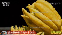 <b>[�Ƽ�Է]�㽭���Ž�����ֲ���ֵ��ĸ�����</b>