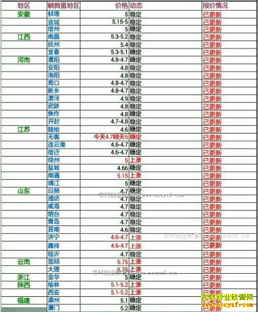 最新鹌鹑蛋价格