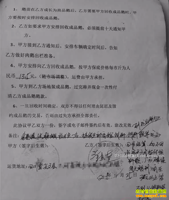 揭秘江苏养鹅诈骗骗局产业链