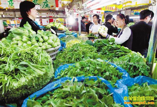 2017年蔬菜价格持续走低 谨防菜贱伤农