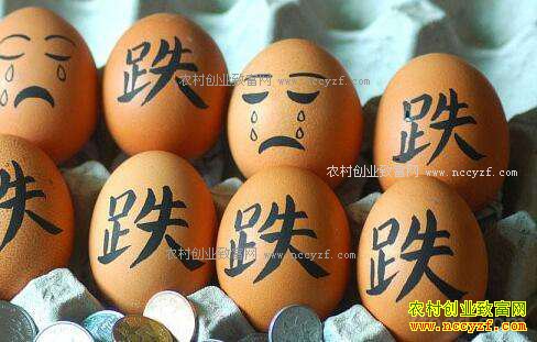 辽宁鞍山鸡蛋价格每斤1.99元 什么原因导致鸡蛋价格下跌?