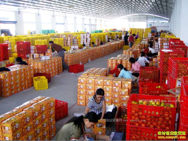 水果电商赚钱秘诀:破解水果电商“痛点”才好赚钱