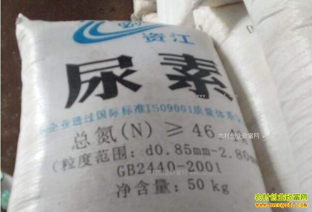 尿素价格行情预测:2017年尿素市场价格会不会上涨?