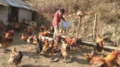 <b>������Ӻ�ؽ�����������Ѱ���¸�·</b>