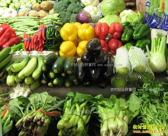 2017年4月蔬菜价格预测:蔬菜价格暴跌四月或继续下行