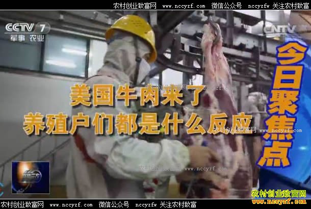 [聚焦三农]美国牛肉来了 对养殖户冲击几何 20170704