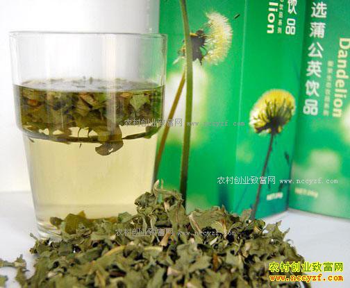 山东济南郝婷怎样成功做农产品微商