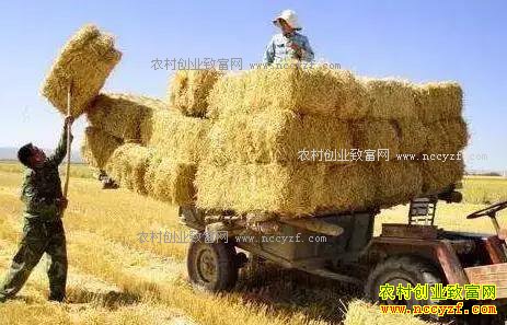 2018年秸秆补贴政策来了!看看你能拿多少?