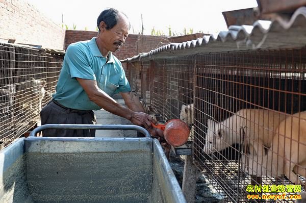 在农村干什么能赚钱?农村4个创业好项目,利润都有万元!
