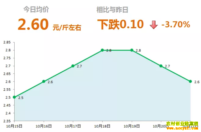 山东昌邑生姜市场今日最新大姜价格行情