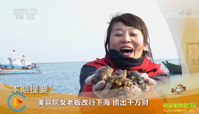 《致富经》 20190228 美容院女老板改行下海 捞出千万财