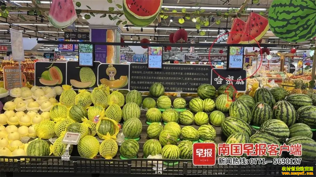 超市里,本地西瓜每斤售价4.99元