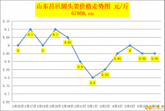 <b>今日大姜价格：2023.6.6山东昌邑生姜价格报价</b>