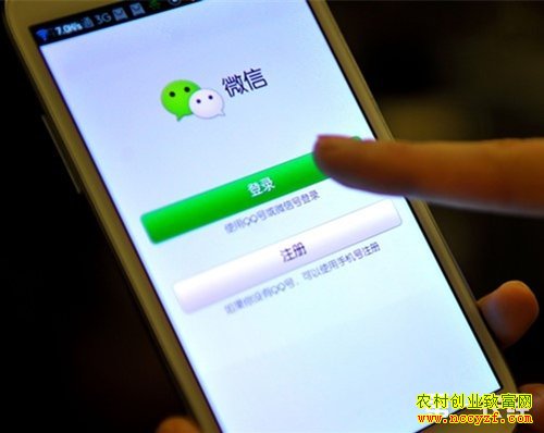 辽宁沈阳:微信平台拉出的“致富菜单”