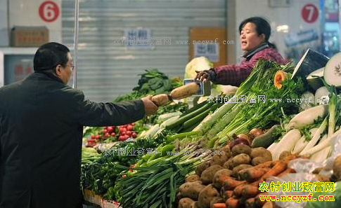 未来蔬菜价格走势专家预测